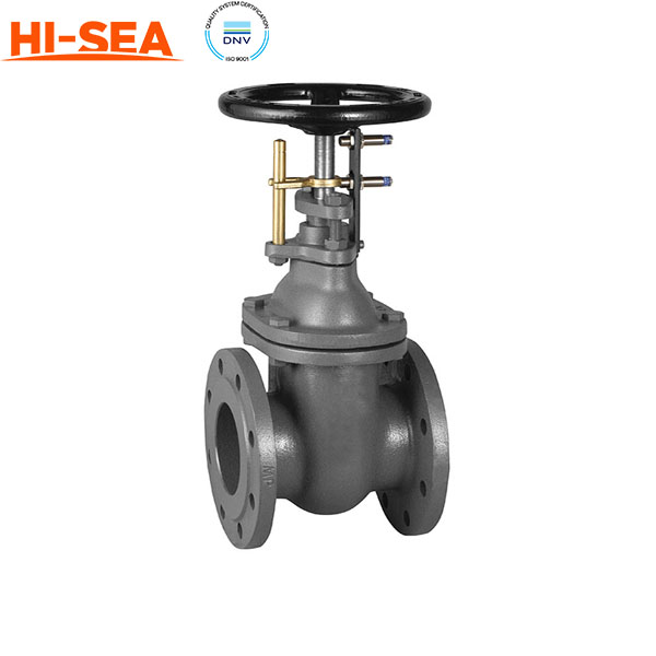 Marine Gate Valve